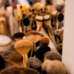 Почему важно регулярно чистить кисти для макияжа?