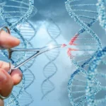 CRISPR и редактирование генома: что это и как работает