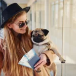 Как путешествовать с животными: документы и советы