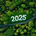 Будущее планеты: экологические прогнозы на ближайшие 10 лет