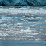 Глобальное потепление: причины, последствия и решения