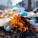 Почему нельзя сжигать мусор: вред для экологии и здоровья