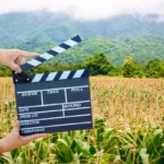 ТОП-10 фильмов и книг про экологию