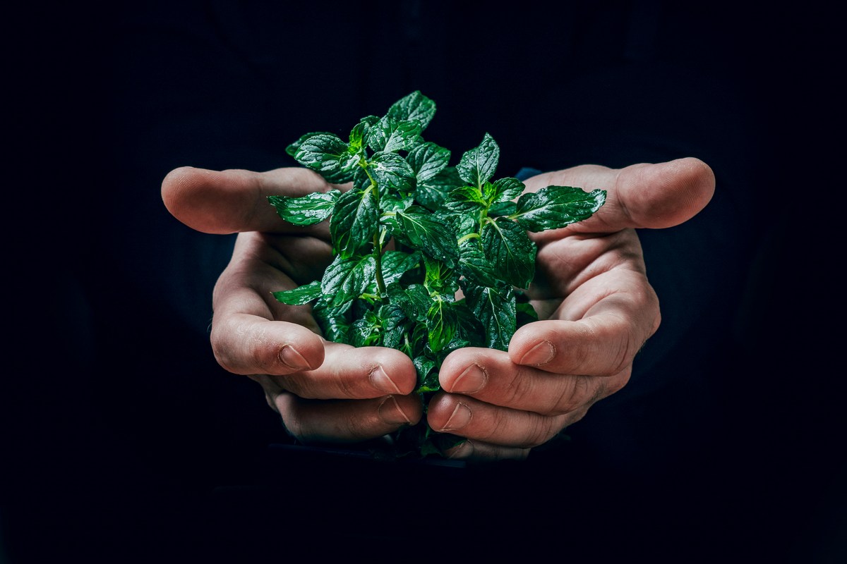 экология будущего планеты