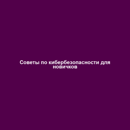 Советы по кибербезопасности для новичков